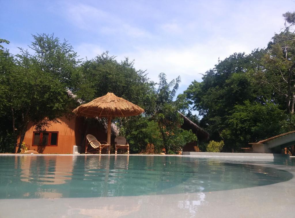 Kuwera Eco Lodge Sigiriya Værelse billede