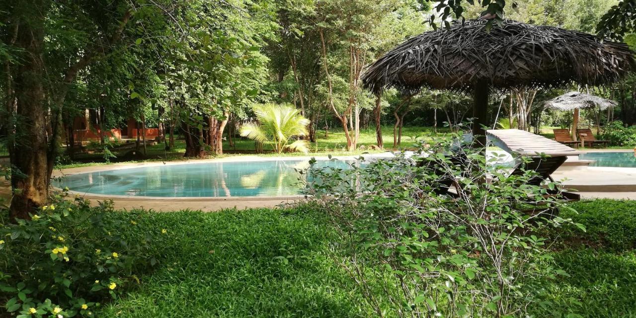 Kuwera Eco Lodge Sigiriya Eksteriør billede